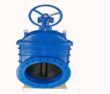 �����C���J�R���l�y